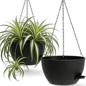 Self Watering Hanging Planters