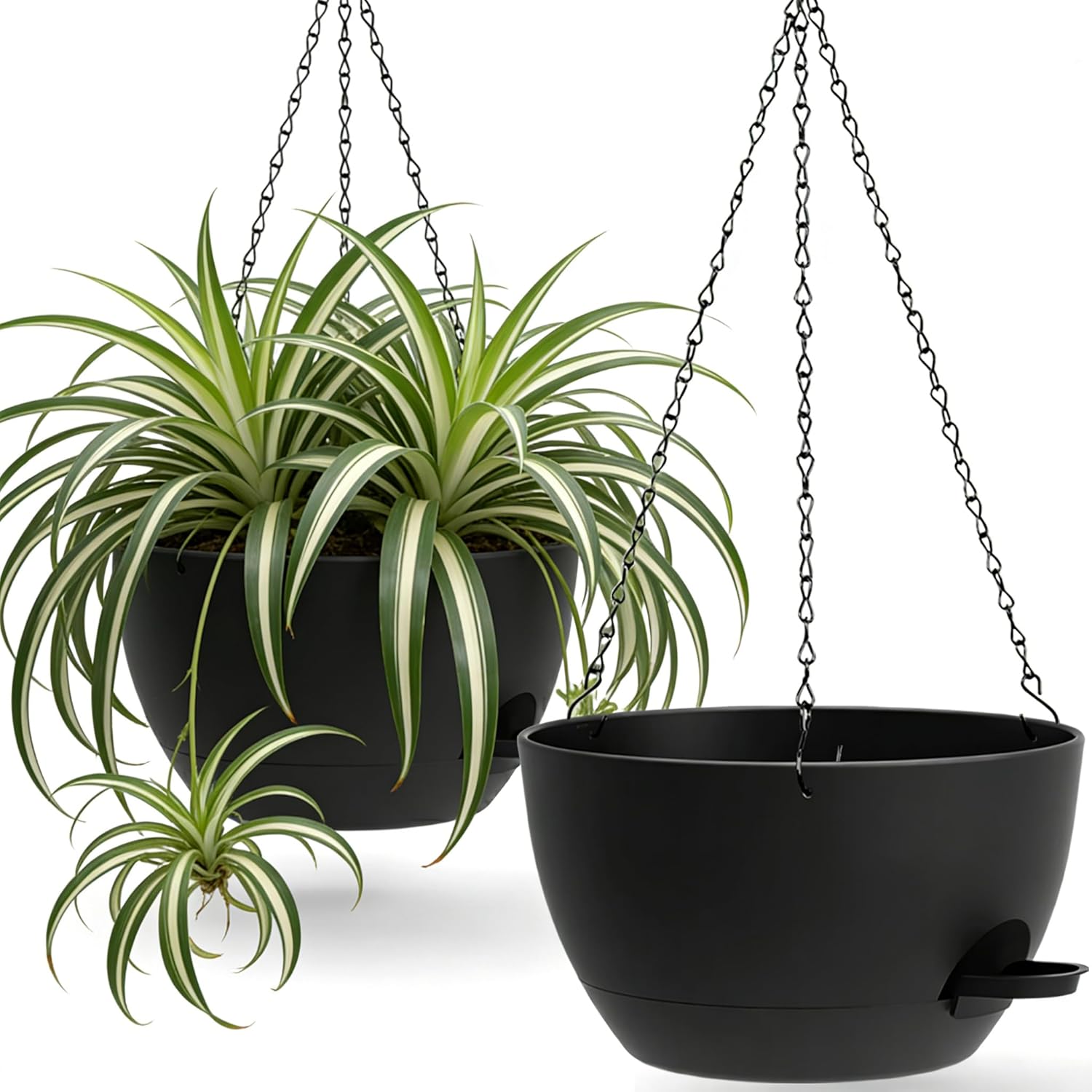 Self Watering Hanging Planters